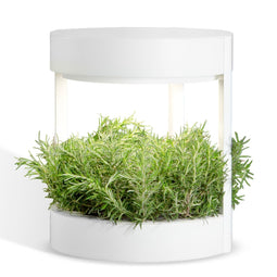 Verdeat S Hydroponic Binnensysteem