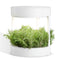 Verdeat S Hydroponic Binnensysteem