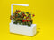 Click and Grow The Smart Garden 3