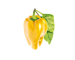 Click and Grow Yellow Sweet Pepper Plant Pods