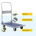 BRASQ Plateauwagen Inklapbaar - Transportkar - Draagvermogen 150 KG - Stalen frame - Zilver