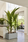 Elho Vivo Next Lang 80 - Plantenbak voor Binnen & Buiten - 100% Gerecycled Plastic - L 78.0 x H 37.9 cm - Living Concrete