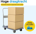 BRASQ Plateauwagen Inklapbaar - Transportkar - Draagvermogen 150 KG - Stalen frame - Zilver