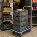 BRASQ Plateauwagen Inklapbaar - Transportkar - Draagvermogen 150 KG - Stalen frame - Zilver