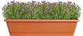 Elho Noa Balkonbak XL - Balkonbak voor Buiten - Waterreservoir - 100% Gerecycled Plastic - L78 x B20 x H17.8 cm - Terra
