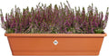 Elho Noa Balkonbak XL - Balkonbak voor Buiten - Waterreservoir - 100% Gerecycled Plastic - L78 x B20 x H17.8 cm - Terra