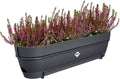 Elho Vibia Campana Balkonbak Allin1 70 - Plantenbak voor Balkon - Ø 70.4 x H 17.7 cm - Antraciet