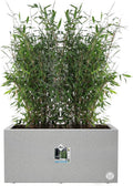 Elho Vivo Next Lang 80 - Plantenbak voor Binnen & Buiten Rechthoekig - 100% Gerecycled Plastic - L 78.0 x H 37.9 cm - Living concrete