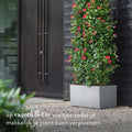 Elho Vivo Next Lang 80 - Plantenbak voor Binnen & Buiten Rechthoekig - 100% Gerecycled Plastic - L 78.0 x H 37.9 cm - Living concrete