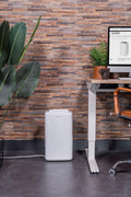 Eurom DryBest 10 Luchtontvochtiger - 230W
