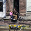 Qibbel Junior 6+ - Fietsstoeltje Achter - Quick Connect - Zwart