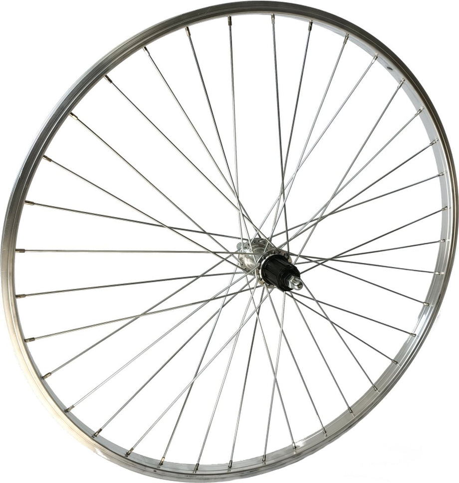 Roland Achterwiel 28 inch - Aluminium velg - Zilver - Vaste as - 7/8 speed - Spaak 14