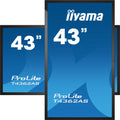 Iiyama ProLite T4362AS-B1 - LCD Monitor - 42,5