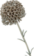 J-Line decoratie Tak Marigold 2 Bloemen - kunststof - lichtgroen - 24 stuks