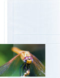 Kangaro foto showtassen - gemaakt van PP - A4 - 2 vakken 13x18cm - 23-gaats - 10 stuks - K-18002