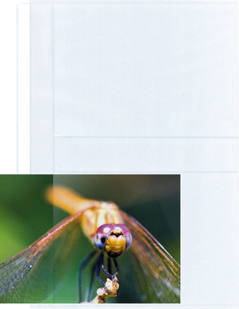 Kangaro foto showtassen - gemaakt van PP - A4 - 2 vakken 13x18cm - 23-gaats - 10 stuks - K-18002