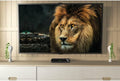Telestar digiHD TS 13 HD-satellietreceiver Opnamefunctie, Geschikt voor enkele kabel Aantal tuners: 1