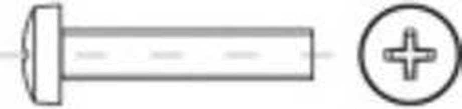 TOOLCRAFT 145893 Lenskopschroeven M2.5 12 mm Kruiskop Phillips DIN 7985 Staal Galvanisch verzinkt 200 stuk(s)