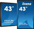 Iiyama ProLite T4362AS-B1 - LCD Monitor - 42,5