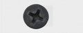SWG 1891392510 Snelbouwschroeven 25 mm Kruiskop Phillips Staal Gefosfateerd 1000 stuk(s)